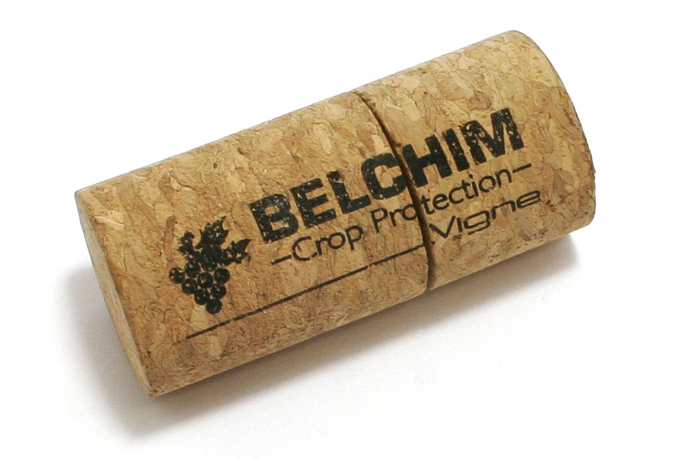  clé usb bois écologique