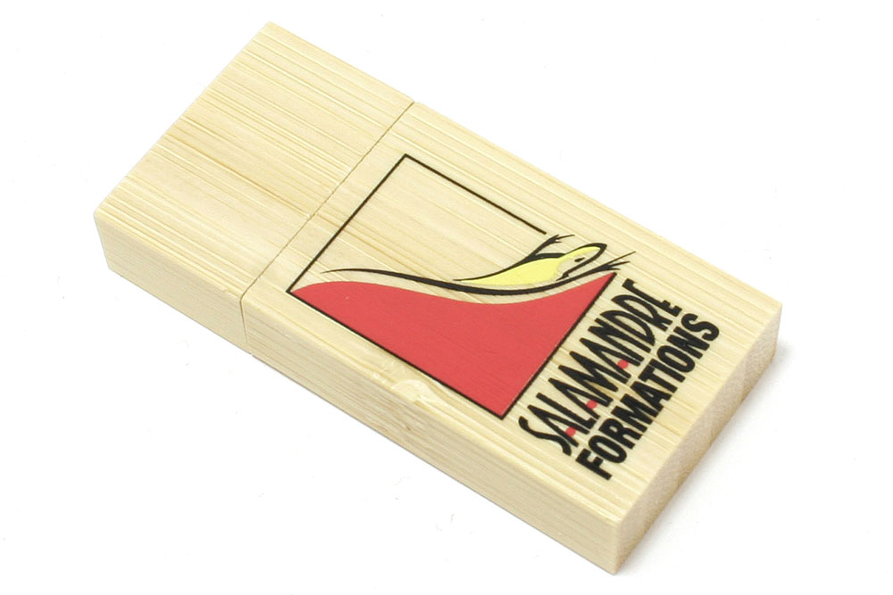 Cle USB SALAMANDRE FORMATIONS